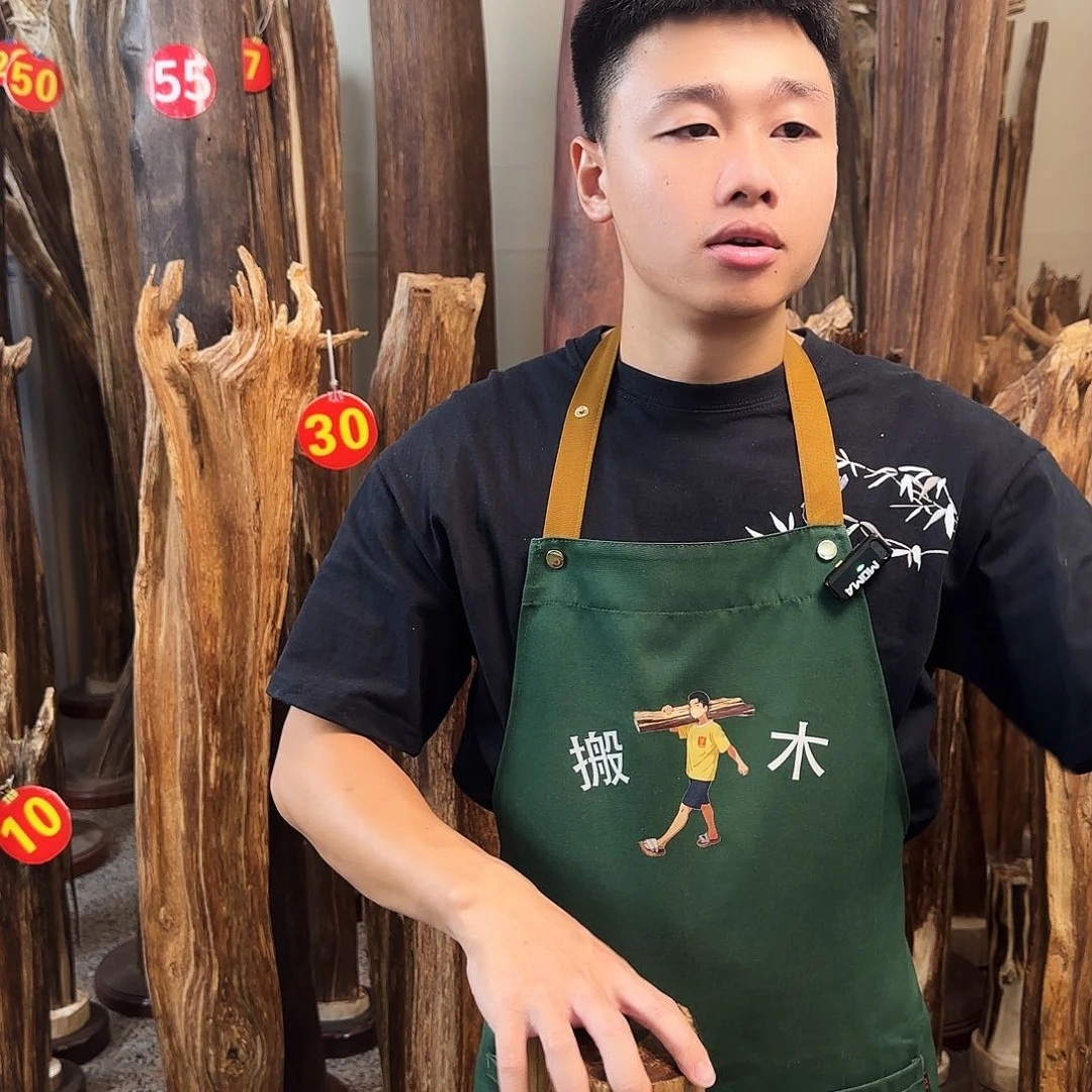 沉香天然沉香原木摆件