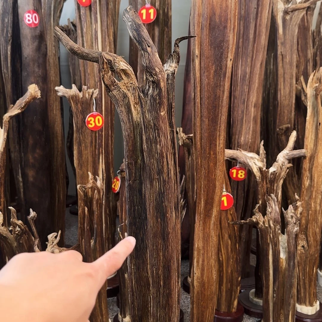 沉香摆件重****司天然沉香摆件➕底座