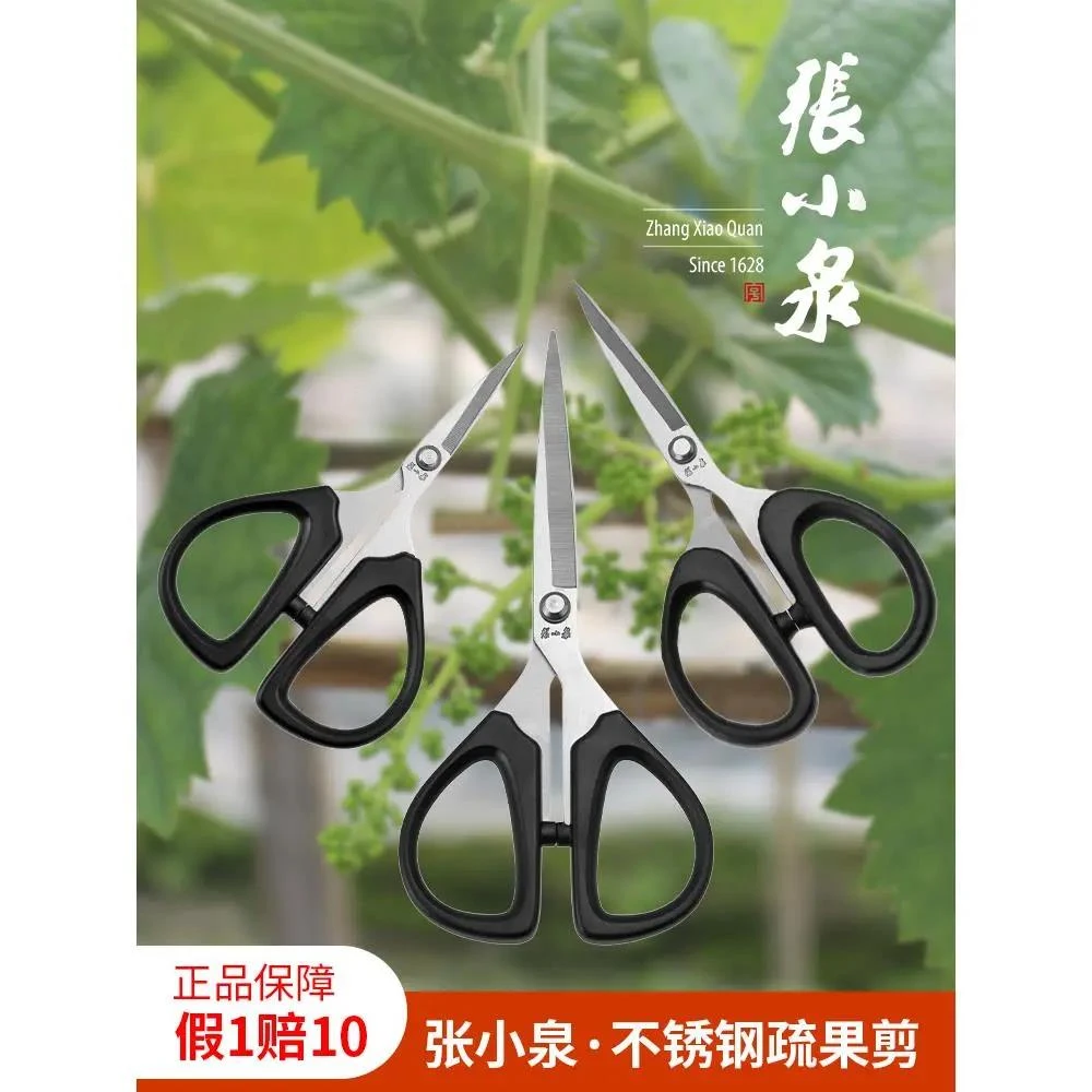 小号直头葡萄疏果剪刀阳光玫瑰疏花剪翘头园艺剪修果专用剪