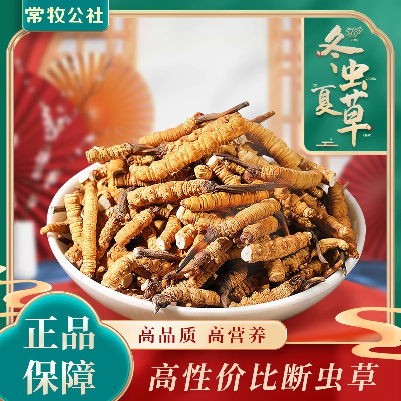 【扎西家】一级断草 头期新草 滋补 保健 泡酒 高性价比