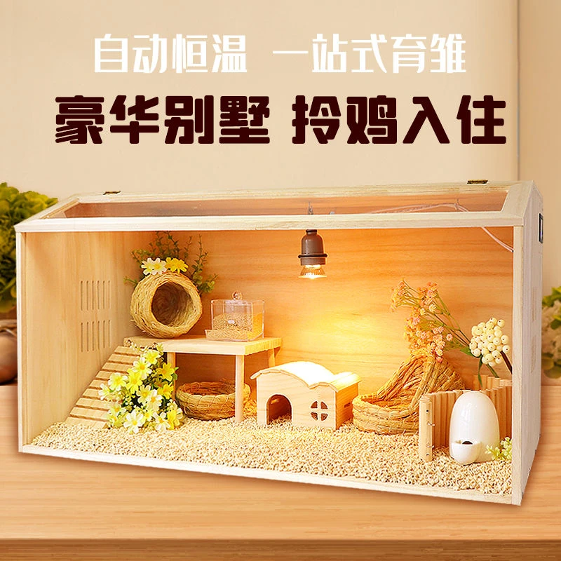 芦丁鸡饲养箱全套育雏养殖仓鼠金丝熊房子实木豪华恒温造景大别墅