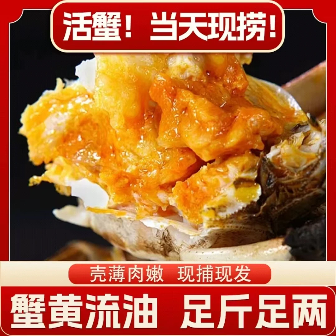 【现发活蟹】江苏大闸蟹公3.4-3.7两母2.4-2.7两拍8只送2只礼盒包装