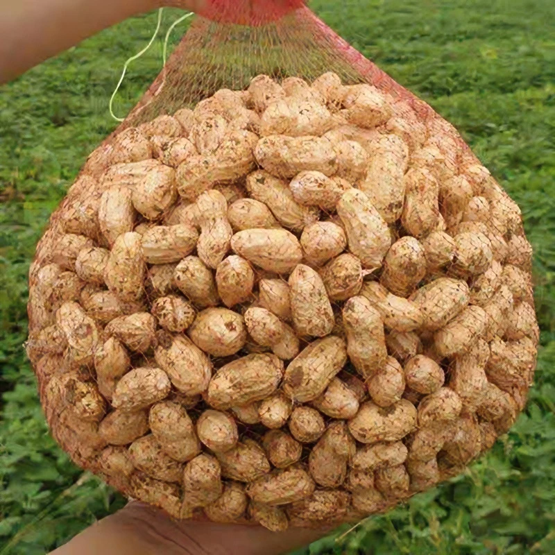 【当季鲜花生】2025年新鲜带壳粉白皮湿花生可熬粥生吃水煮花生养胃