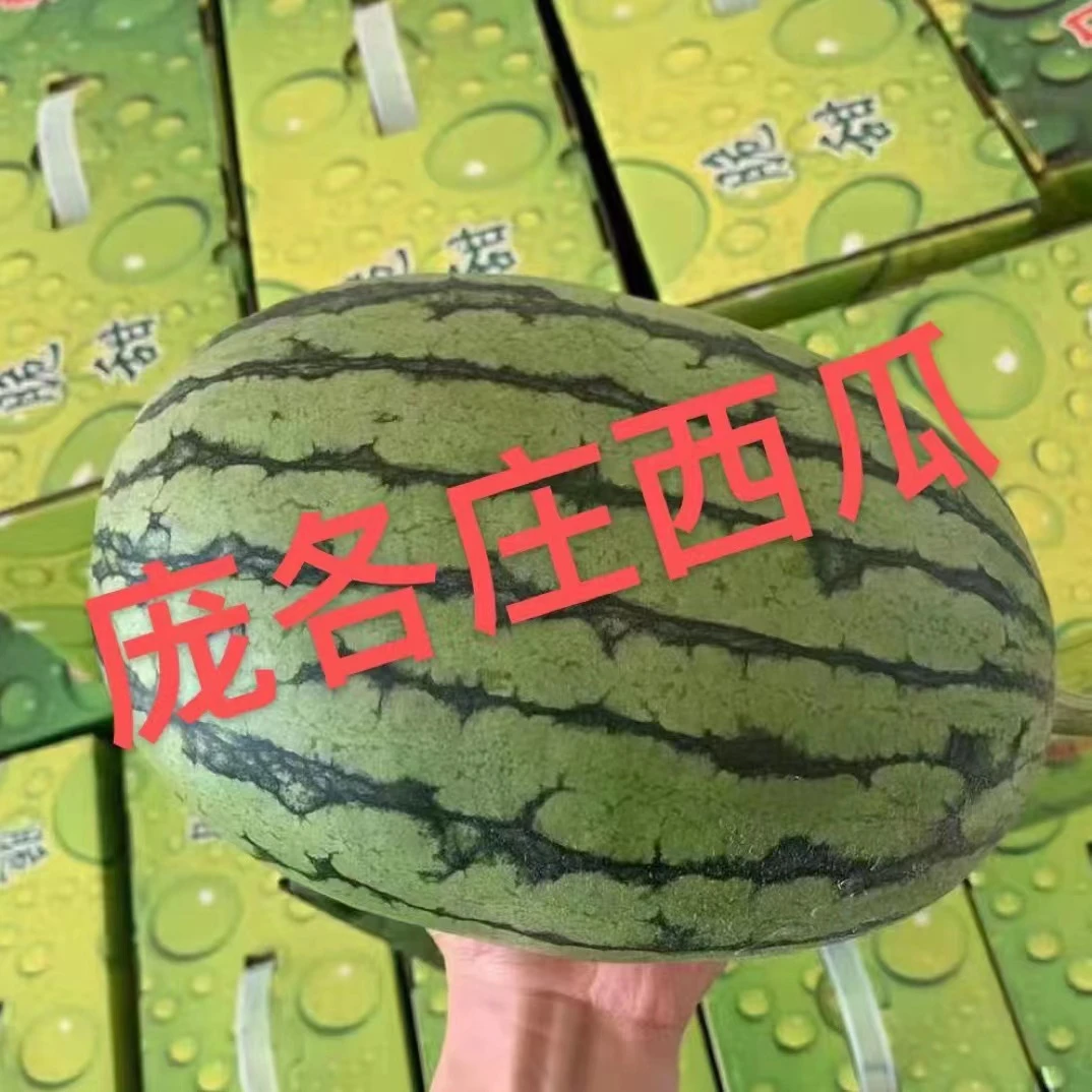 庞各庄头茬小西瓜两粒装6-8斤现摘现发坏果包赔水果庞各庄西瓜