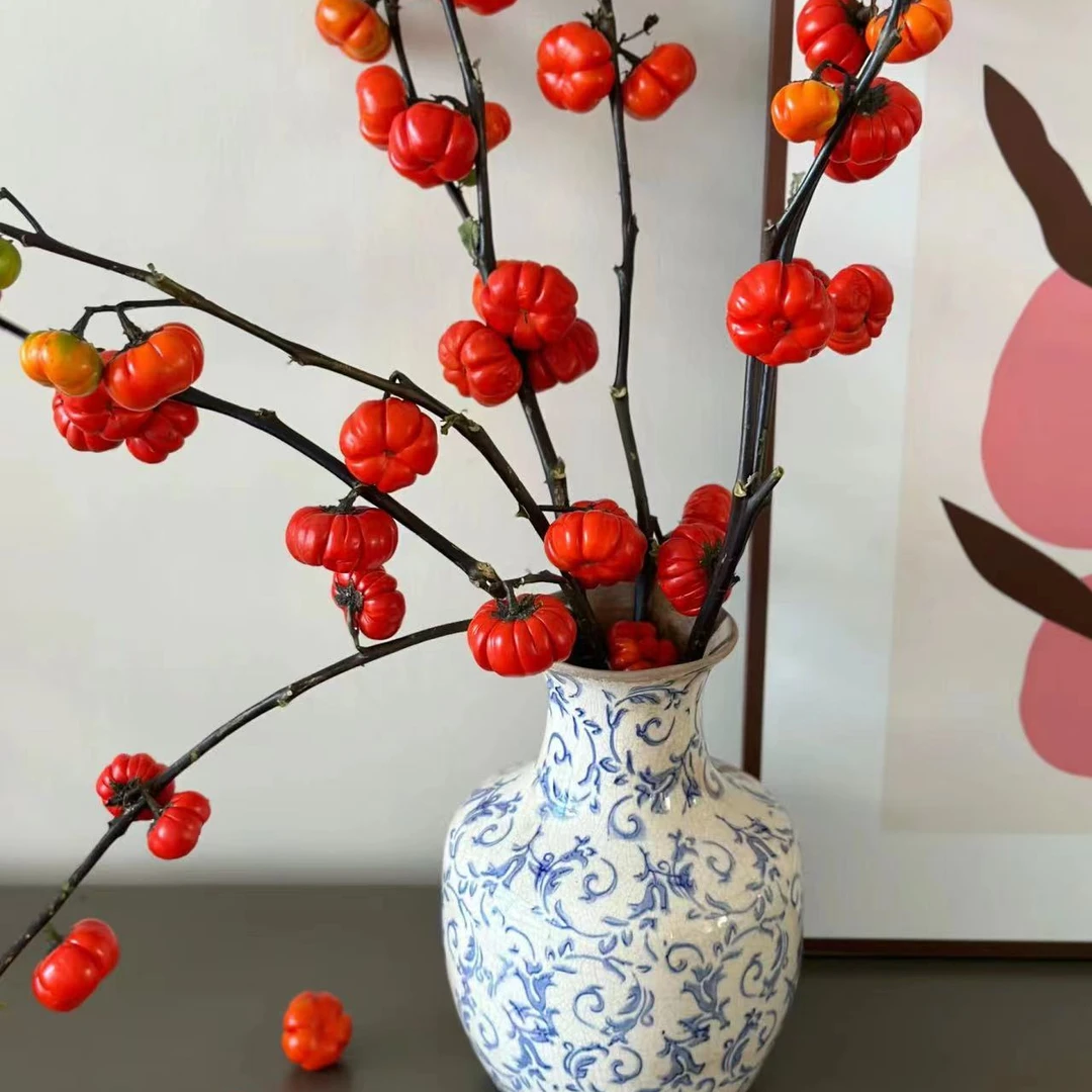 【源头优选】 小南瓜 可做干花 云南昆明直发家庭水养鲜切花鲜花