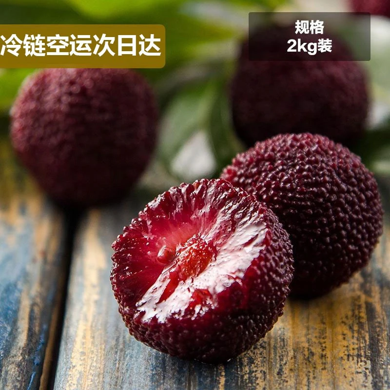 精选中果云南杨梅新鲜杨梅杨梅空运天然成熟多汁食用酸甜自然采摘