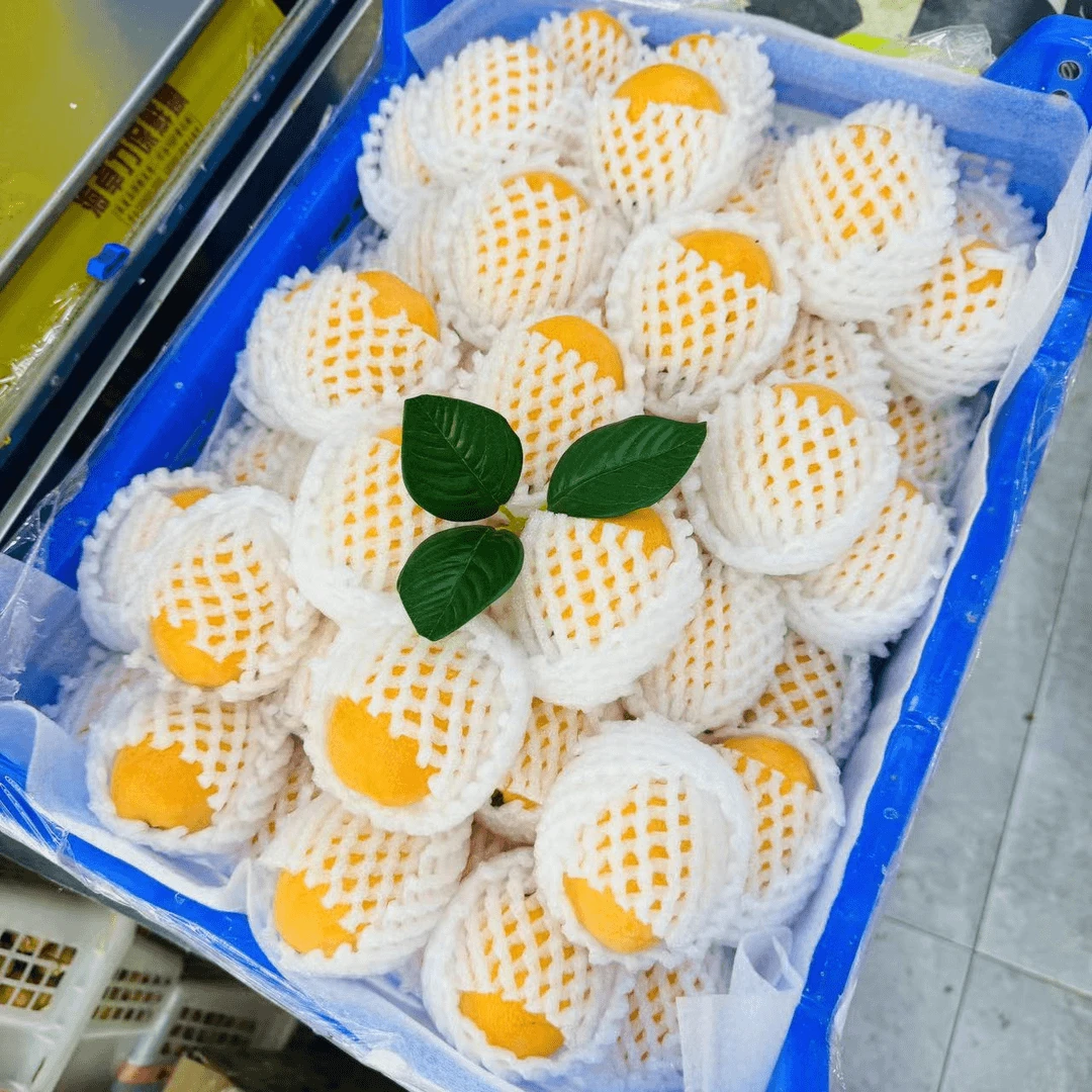 枇杷 500克