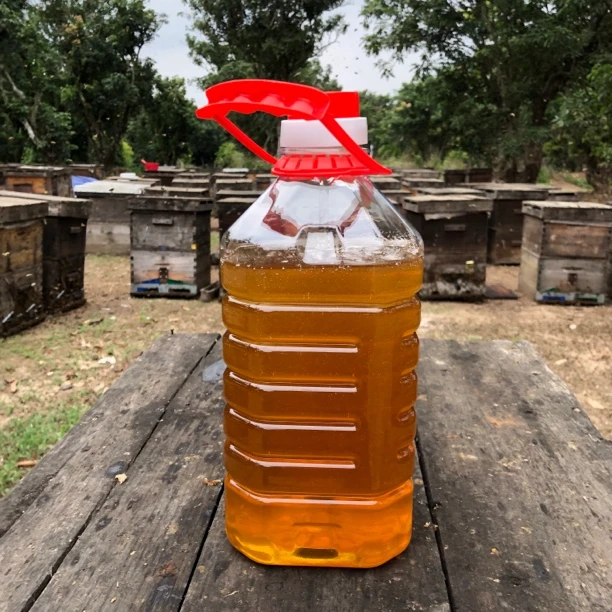 高州荔枝蜜五斤一瓶蜂场发货分界镇荔枝蜜原蜜产地直发蜂农打包
