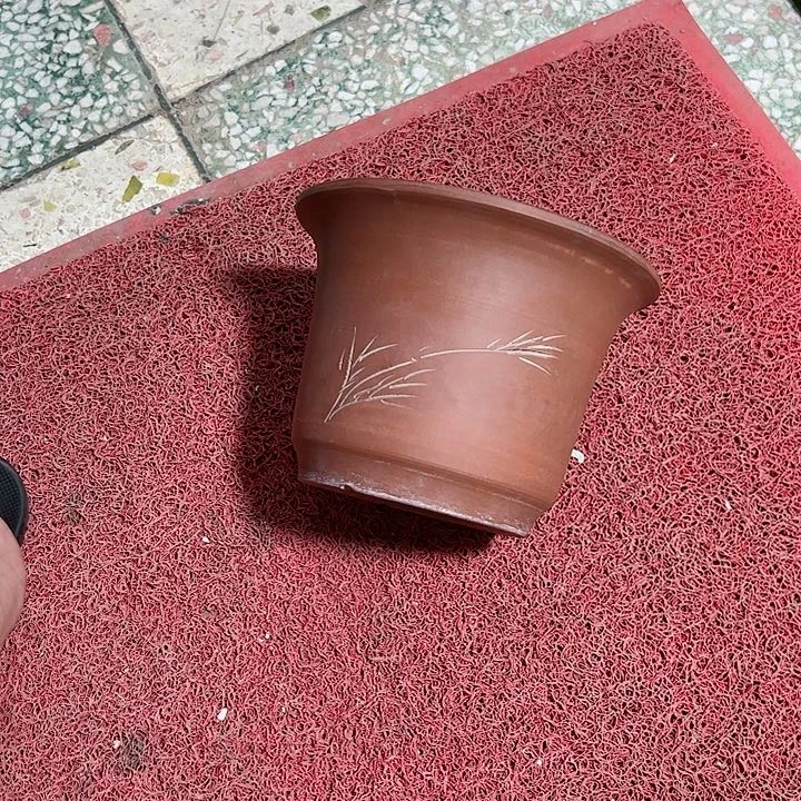 红陶20CM（含）-50CM（不含）重****爱
