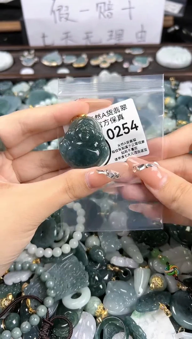 【闪购商品】翡翠颈饰未镶嵌默认配绳254