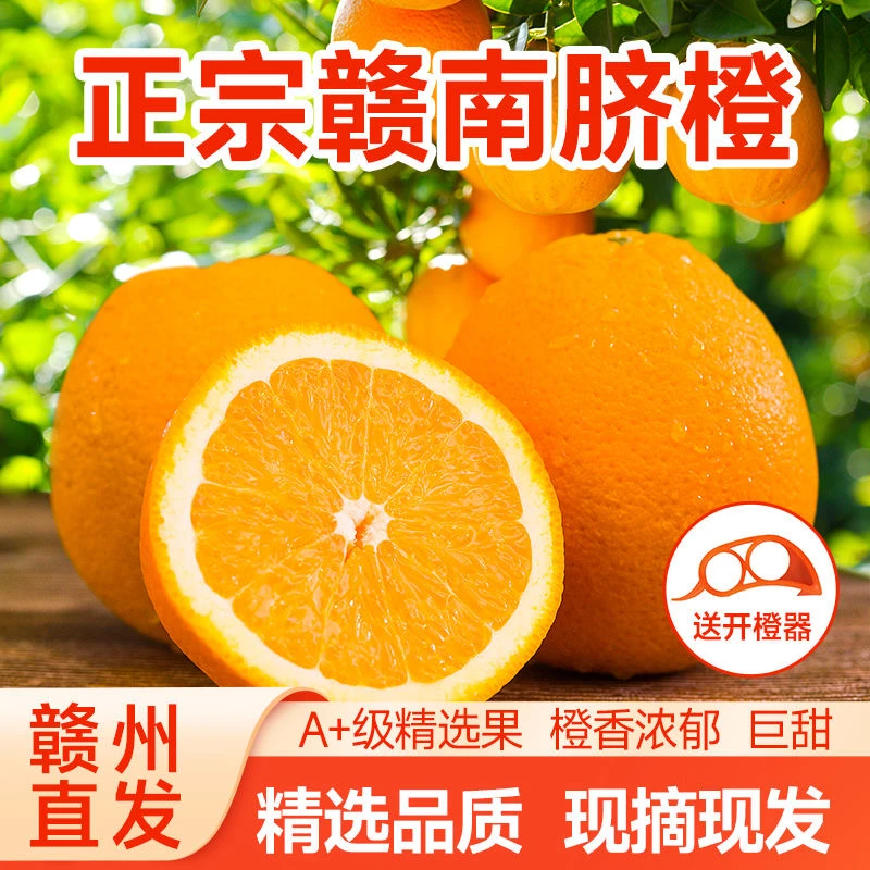 【福利款】新鲜脐橙果园直发尝鲜3斤装