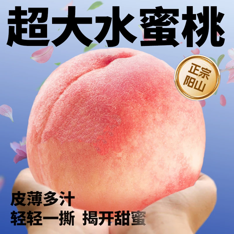 【一斤一只】超大白凤正宗阳山水蜜桃礼盒装产地直发新鲜爆多汁特大