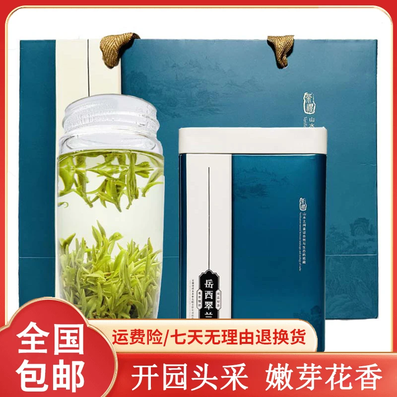 2025新茶岳西翠尖明前高山头春头采开园兰花香 回味甘甜 鲜嫩品质