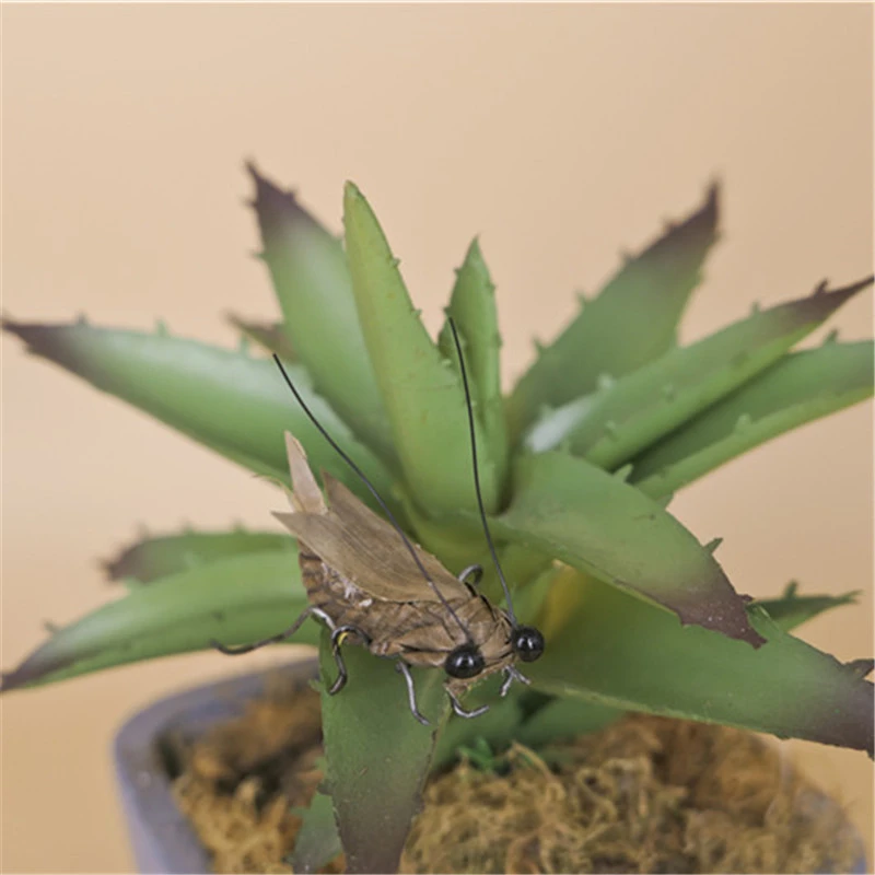 四川草编棕编工艺非遗手工特色创意新品精品蝈蝈家居桌面摆件礼品