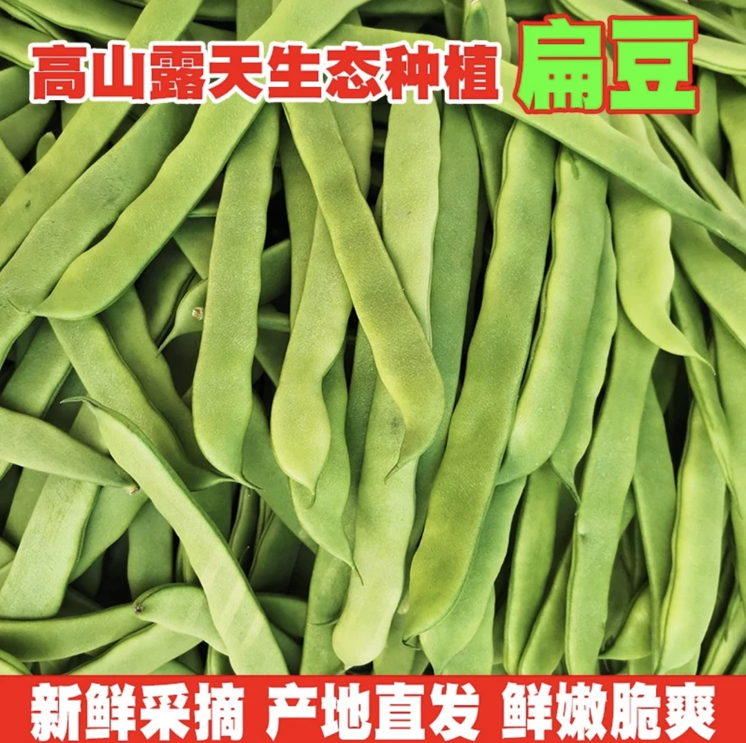 新鲜扁豆露天种植蔬菜豆角芸豆无筋豆