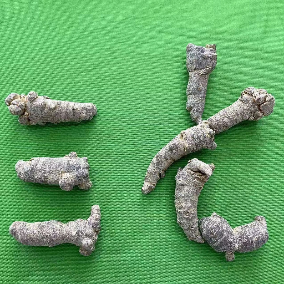 【三七】云南山货 三七 田七 滑头子