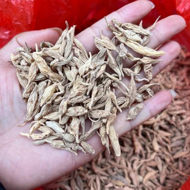 【麦冬】云南赶集现收山货可煲汤.泡水