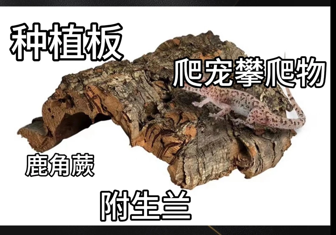 葡萄牙软木板植树皮软木板造景种植天然孔洞裂纹树洞发货全新出售