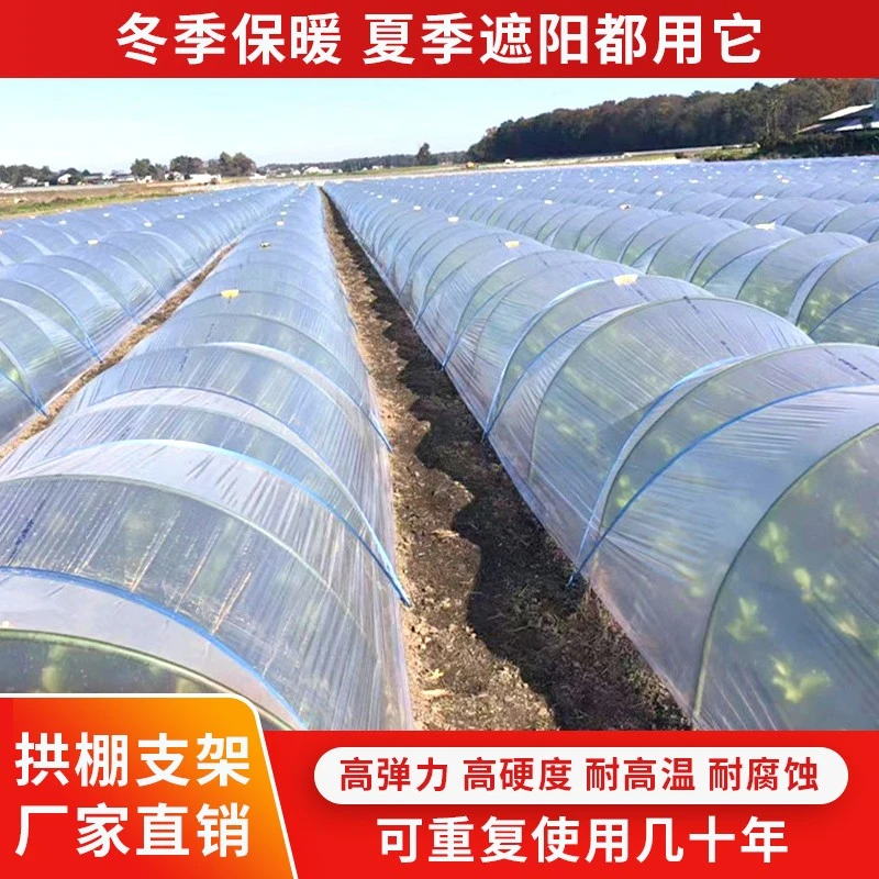 大棚拱棚支架小拱棚地膜蔬菜棚避雨棚拱杆草莓小型农家用菜园架子