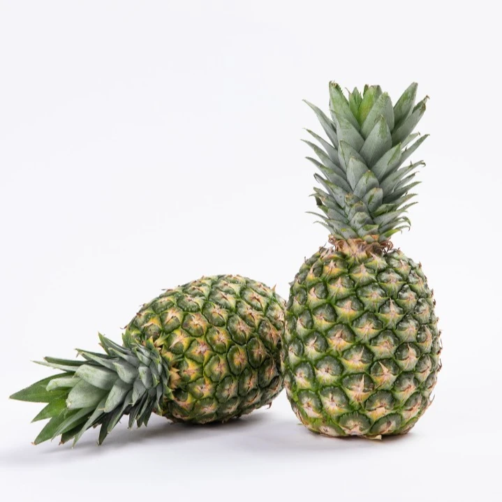 香甜食用多汁海南金钻凤梨产地果园树熟现摘现发脆甜可口新鲜催熟
