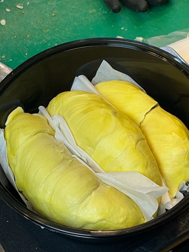 AA树熟金枕