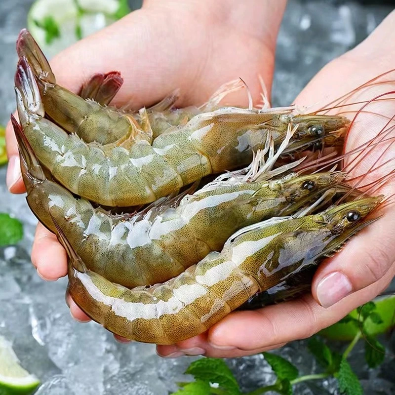 黄虾鲜活大号虾海鲜水产18只左右/斤