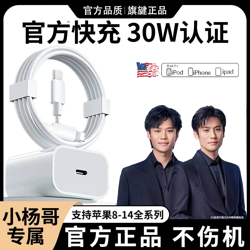 30W苹果快充原装充电正品快充数据线14/13/12/11手机充电器充电线