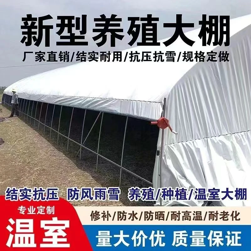 养殖大棚骨架钢管架保温棚温室养猪棚养鸡场多用牛棚羊圈透光全套