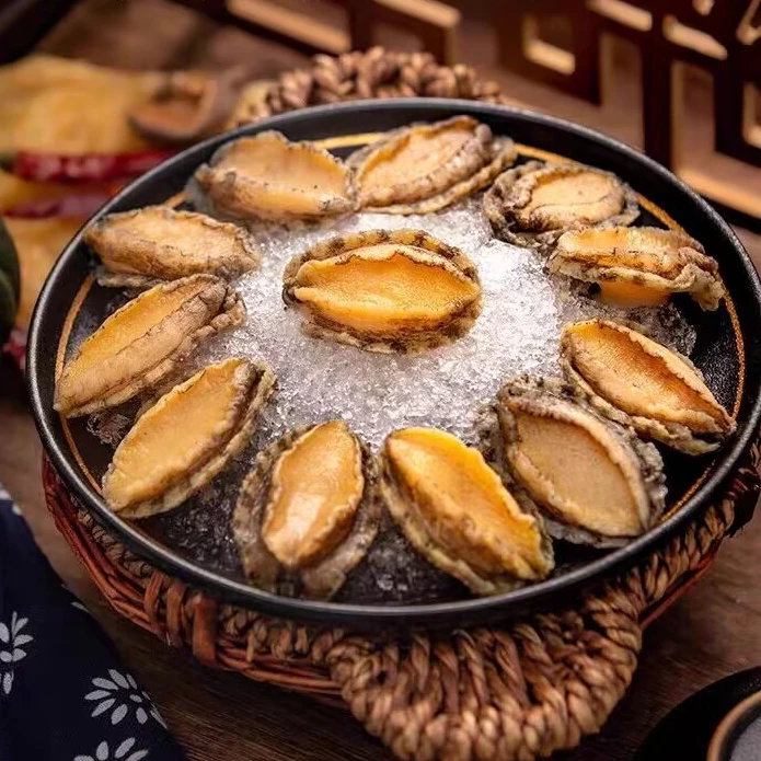 精选新鲜海捕带壳小鲍鱼速冻锁鲜口感鲜嫩捞汁烧烤食材顺丰冷链