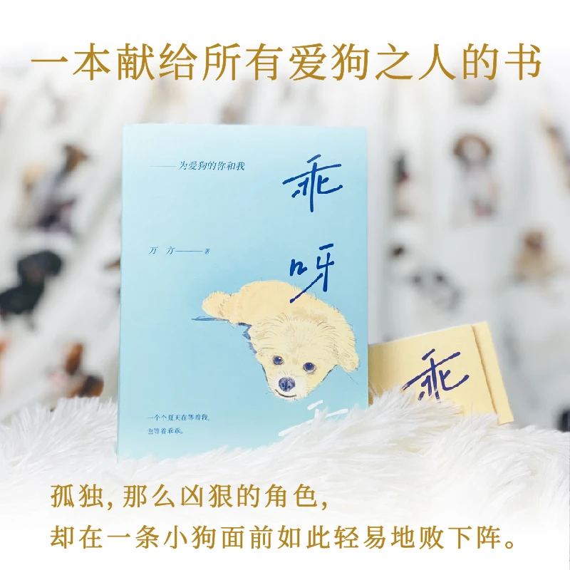 【新经典官方】乖呀乖：为爱狗的你和我   戏剧 作家 国内
