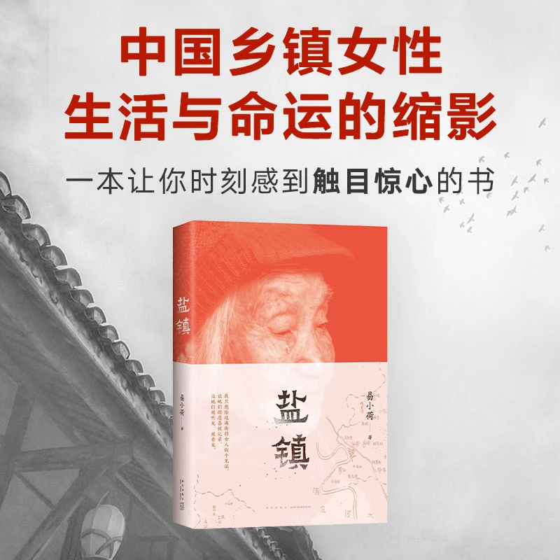 【新经典】易小荷：盐镇   女性成长 乡镇女性的生活与命运