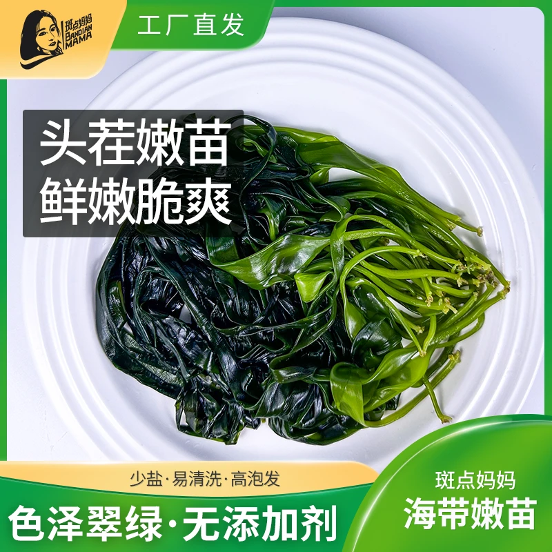 哪吒款盐渍海带嫩苗15天采摘,霞浦特产非裙带菜,鲜嫩脆爽高端营养