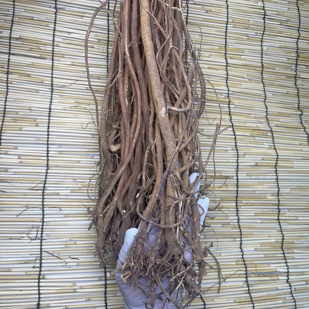 【一条根】农产品 无硫千斤根茎蔻整条发货可配莲子煲汤