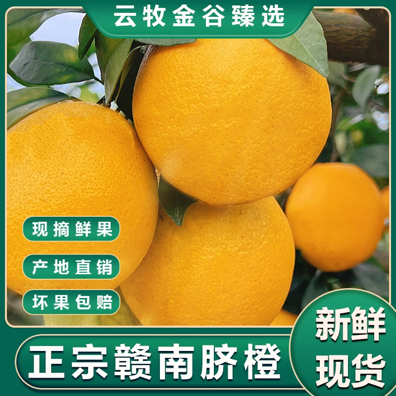 【黄家敏专属】正宗赣南脐橙应季新鲜原产地直发薄皮橙子香味浓郁