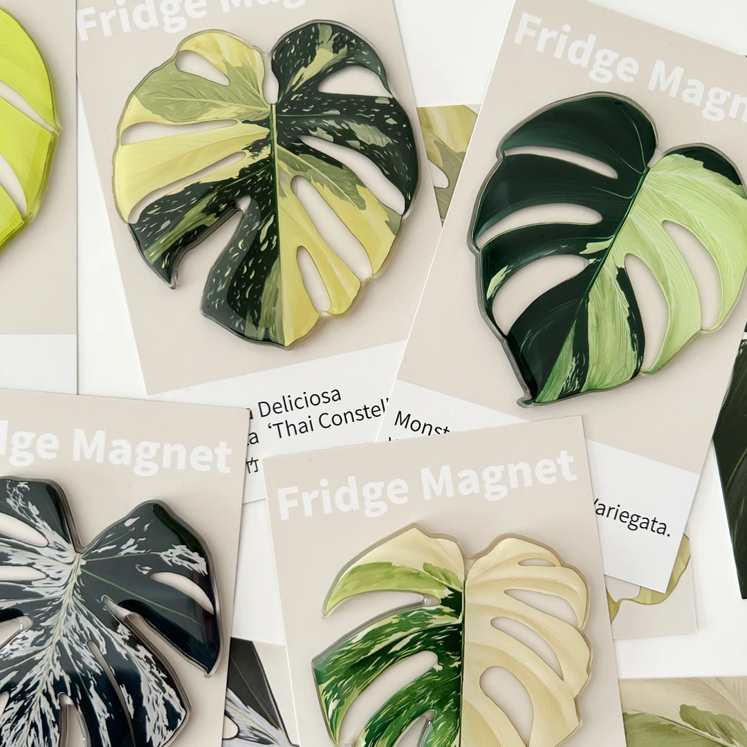 植物魔法 / 龟背竹系列 热带珍稀植物 原创设计 创意绿植冰箱贴