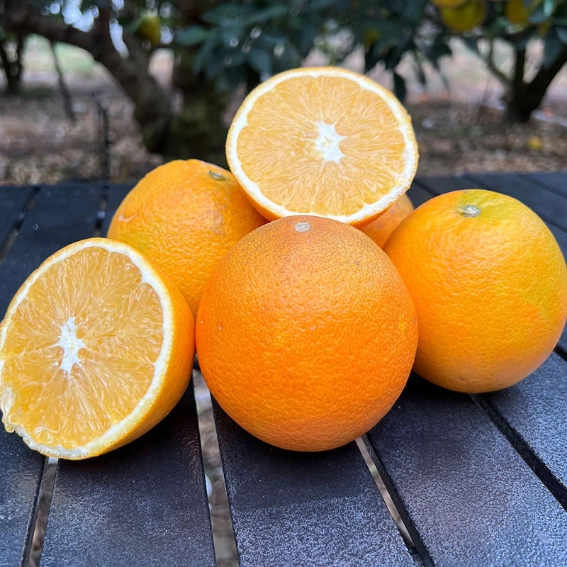 【10斤装】正宗赣南脐橙75~95生态果新鲜采花皮赣州产地直发含箱重