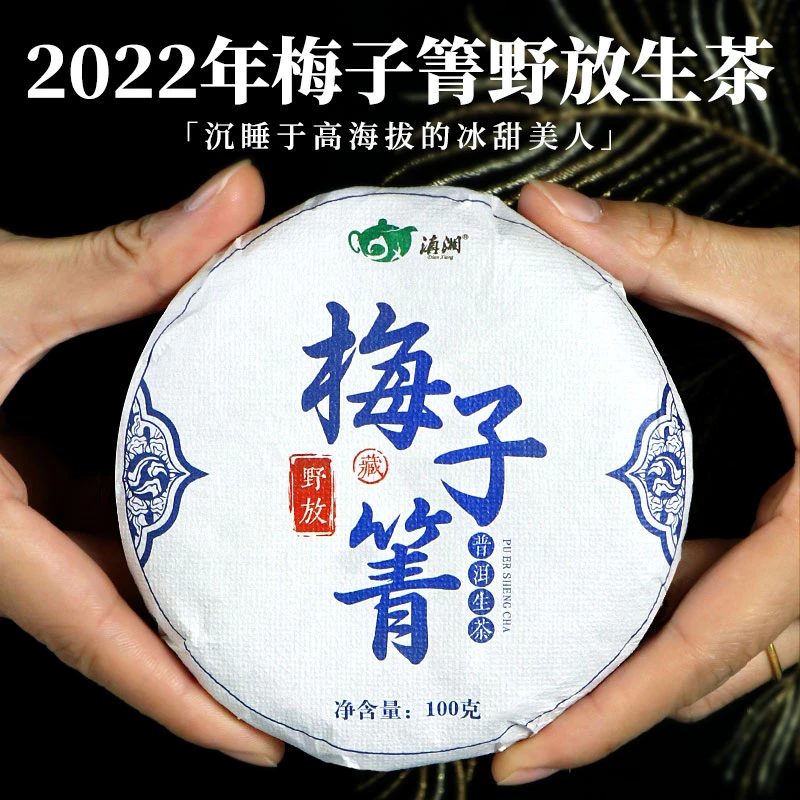 22年临沧梅子箐普洱生茶野放古树普洱茶100g香气饱满昆明干仓存储
