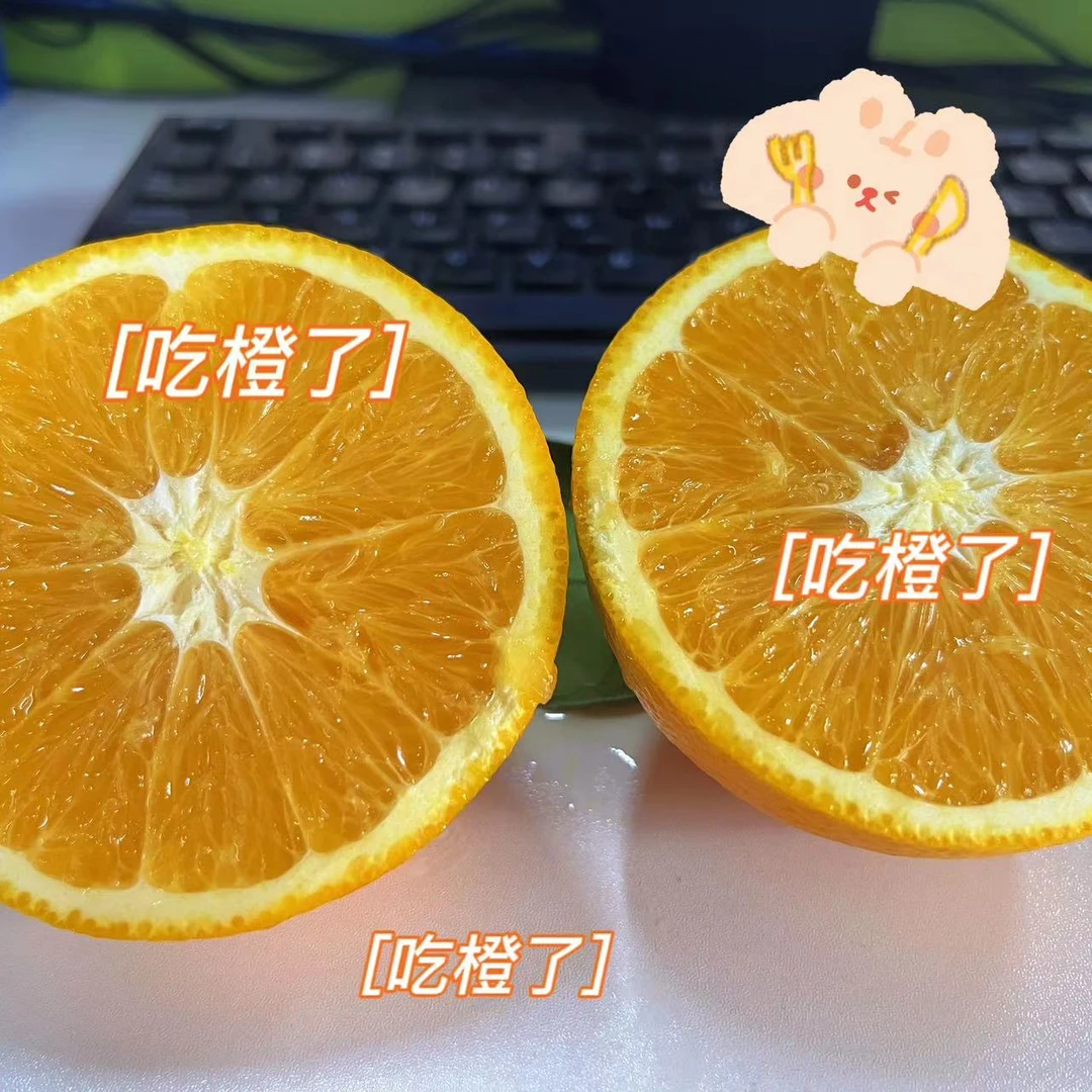 【10斤装】罗甸正宗纽荷尔脐橙中大果新鲜食用现摘皮薄肉厚爆汁脐橙