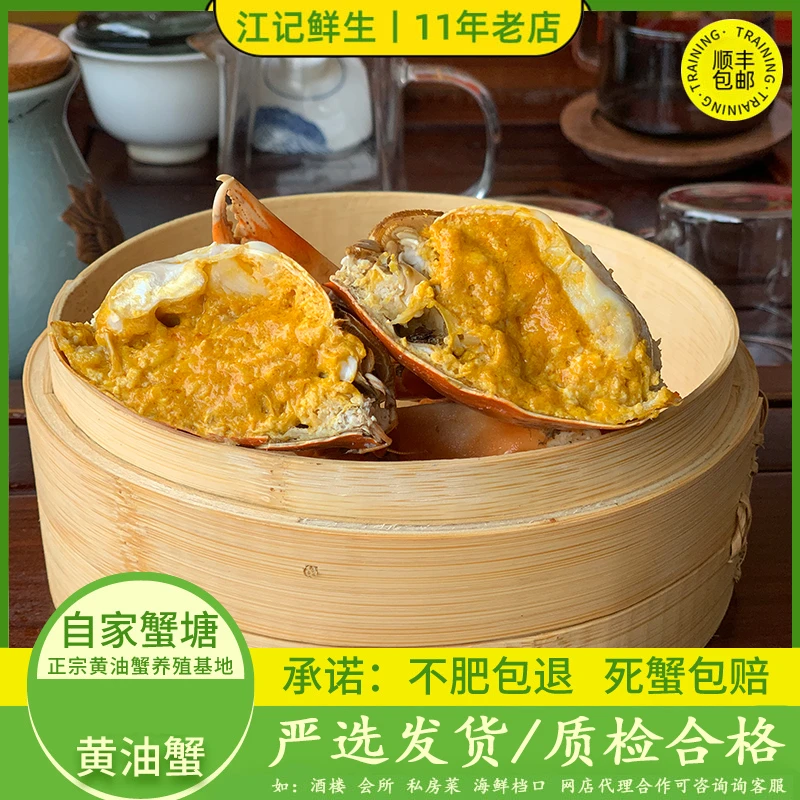 【初手黄油蟹4-5两/只】江记鲜生黄油蟹养殖场直销鲜活配送佳记送礼