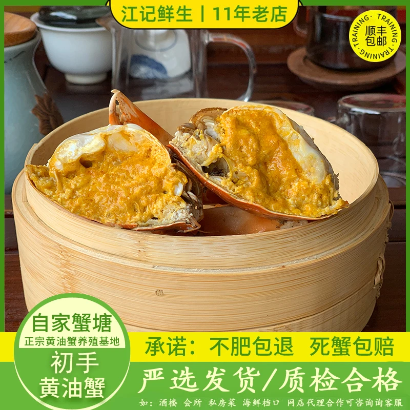 【初手黄油蟹5-6两/只】江记鲜生黄油蟹养殖场直销鲜活配送佳记送礼