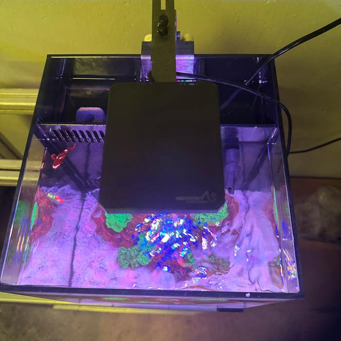 25CM桌面型海缸套装（海缸、珊瑚灯、水泵|）