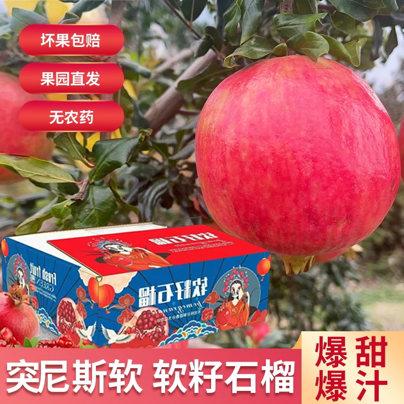 【树上熟】四川会理突尼斯石榴红石榴皮薄会理石榴产地3斤5斤礼盒装
