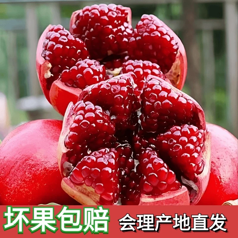 【现摘！爆甜】会理突尼斯软籽石榴新鲜采摘水果整箱5斤应季水果孕妇