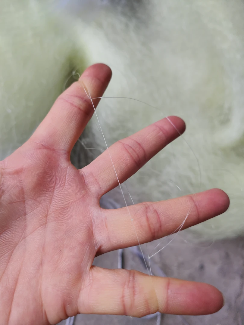 3米高10指捕大鱼网鲤鱼草鱼鲢鳙三层渔网挂网粘网