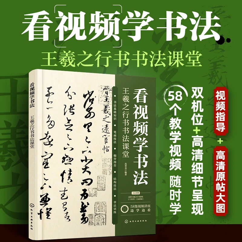看视频学书法 王羲之行书书法课堂 中小学生书法教师爱好者参考书