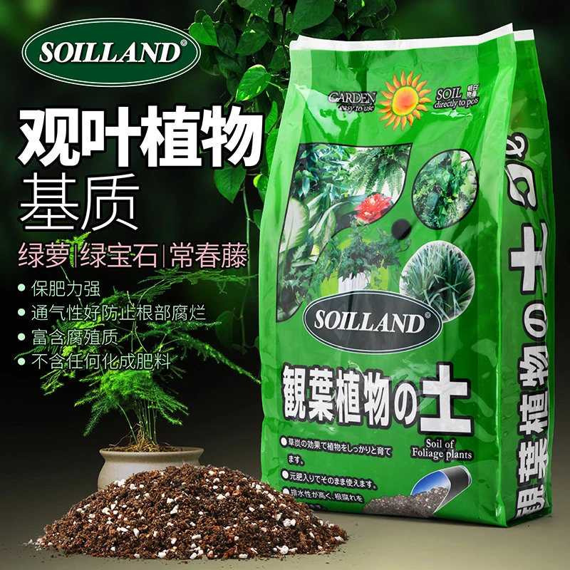 新疆包邮观叶绿叶植物专用营养土巴西木龟背竹吊兰虎皮兰种植泥土