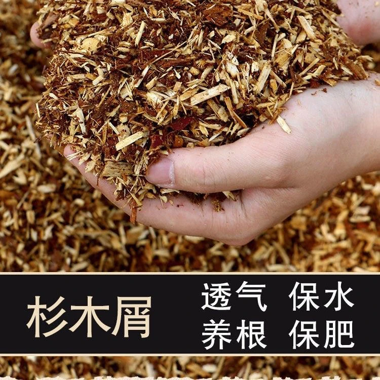 新疆包邮纯杉木屑植料兰花石斛蝴蝶兰保湿养花植料