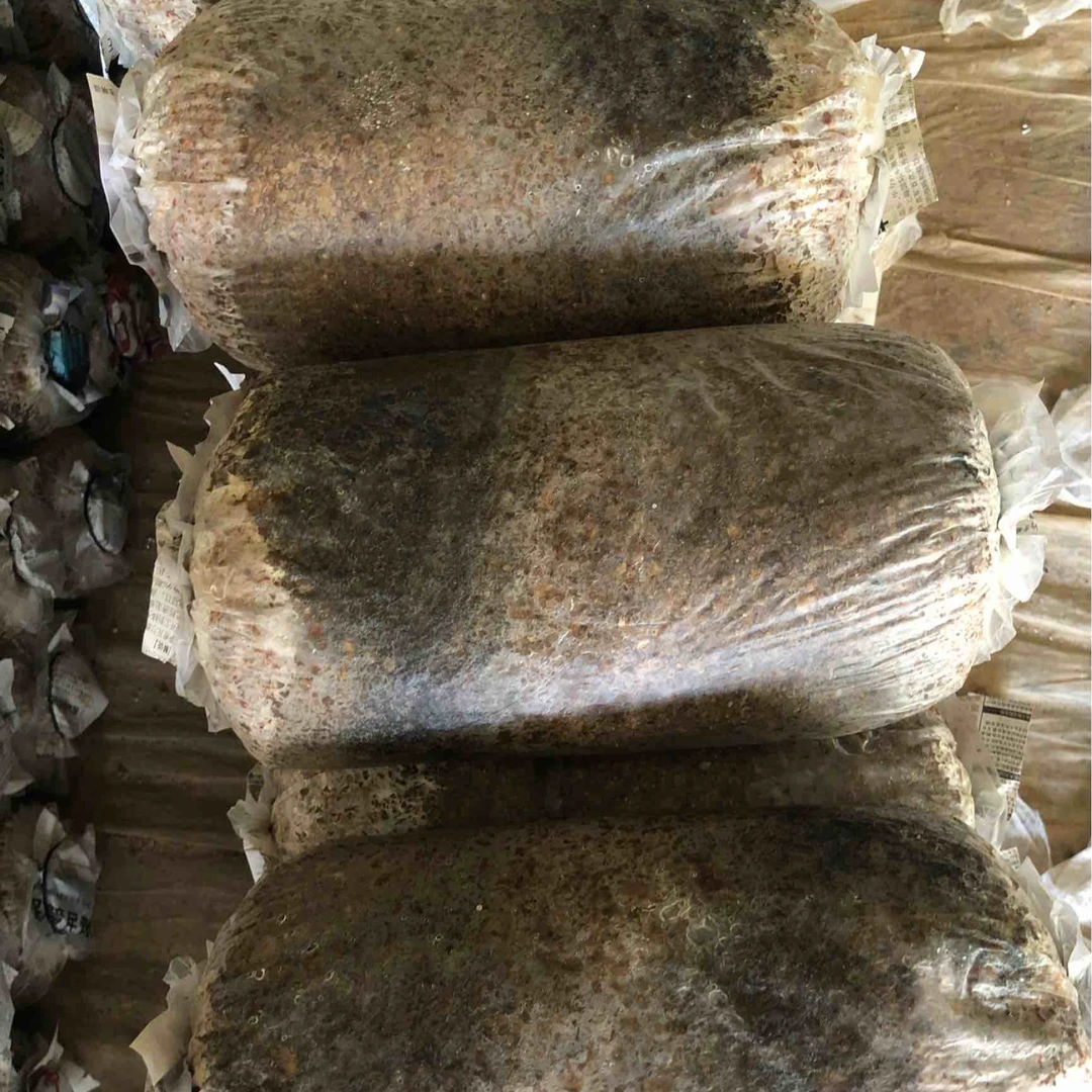 【关书记推荐】食用菌包
