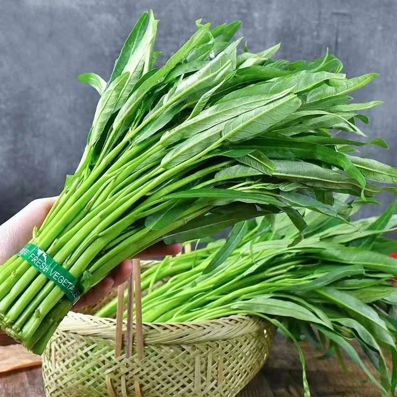 空心菜400g±50g