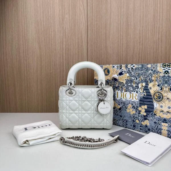 99新 DIOR/迪奥 鸭鸭甄选/单肩包/市场价39000/240730MY0039